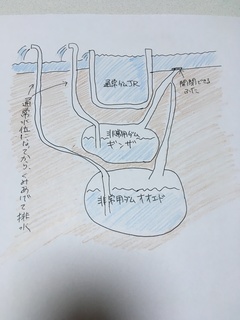 IMG_4993.JPG
